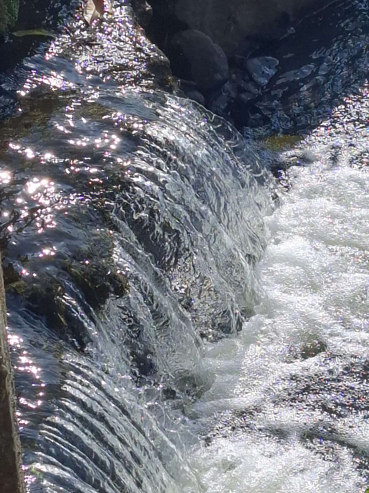 2DO LUGAR / ARQ. CARLOS DOMÍNGUEZ