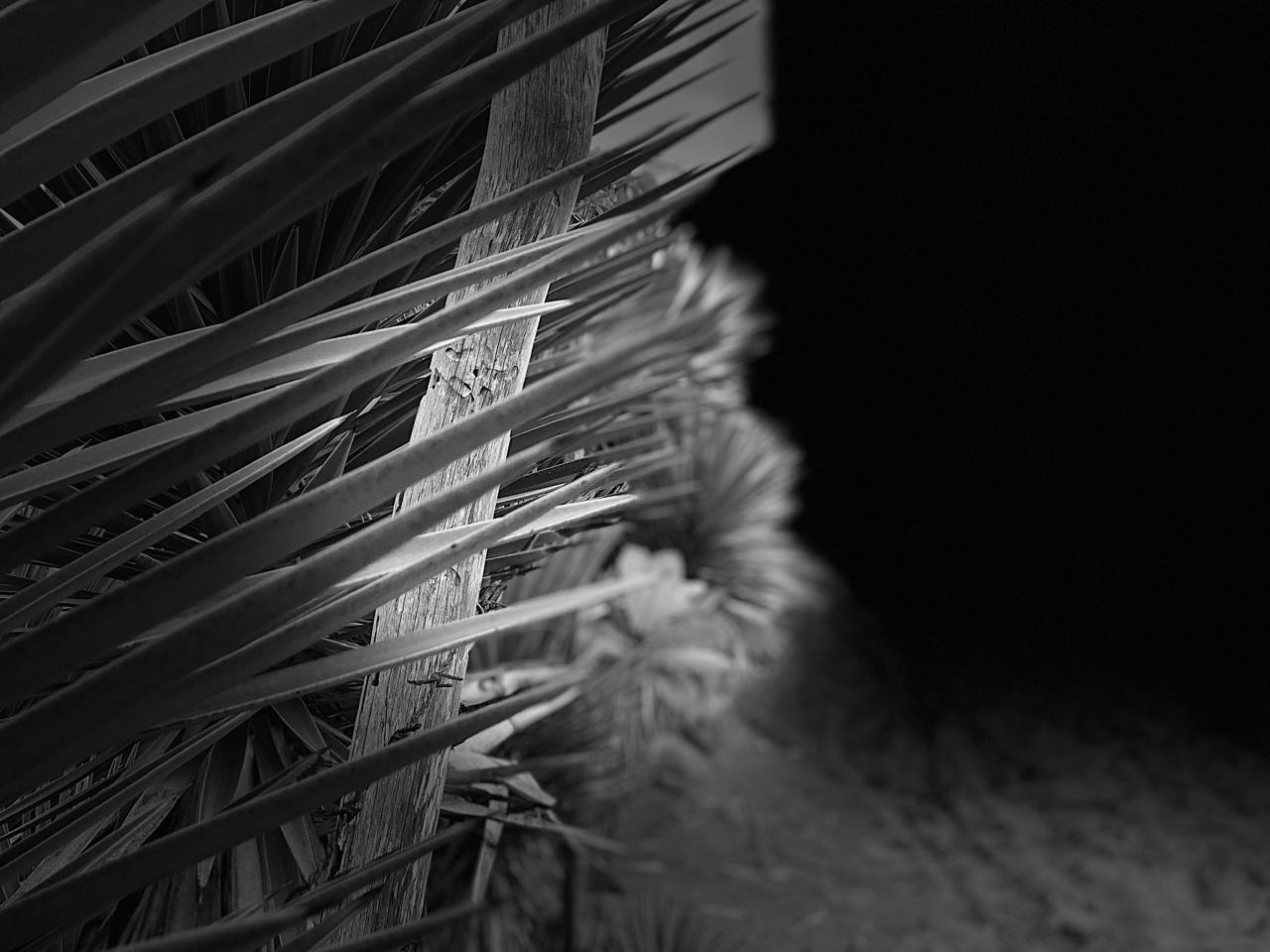 3ER LUGAR / ARQ. ARIS ISSA