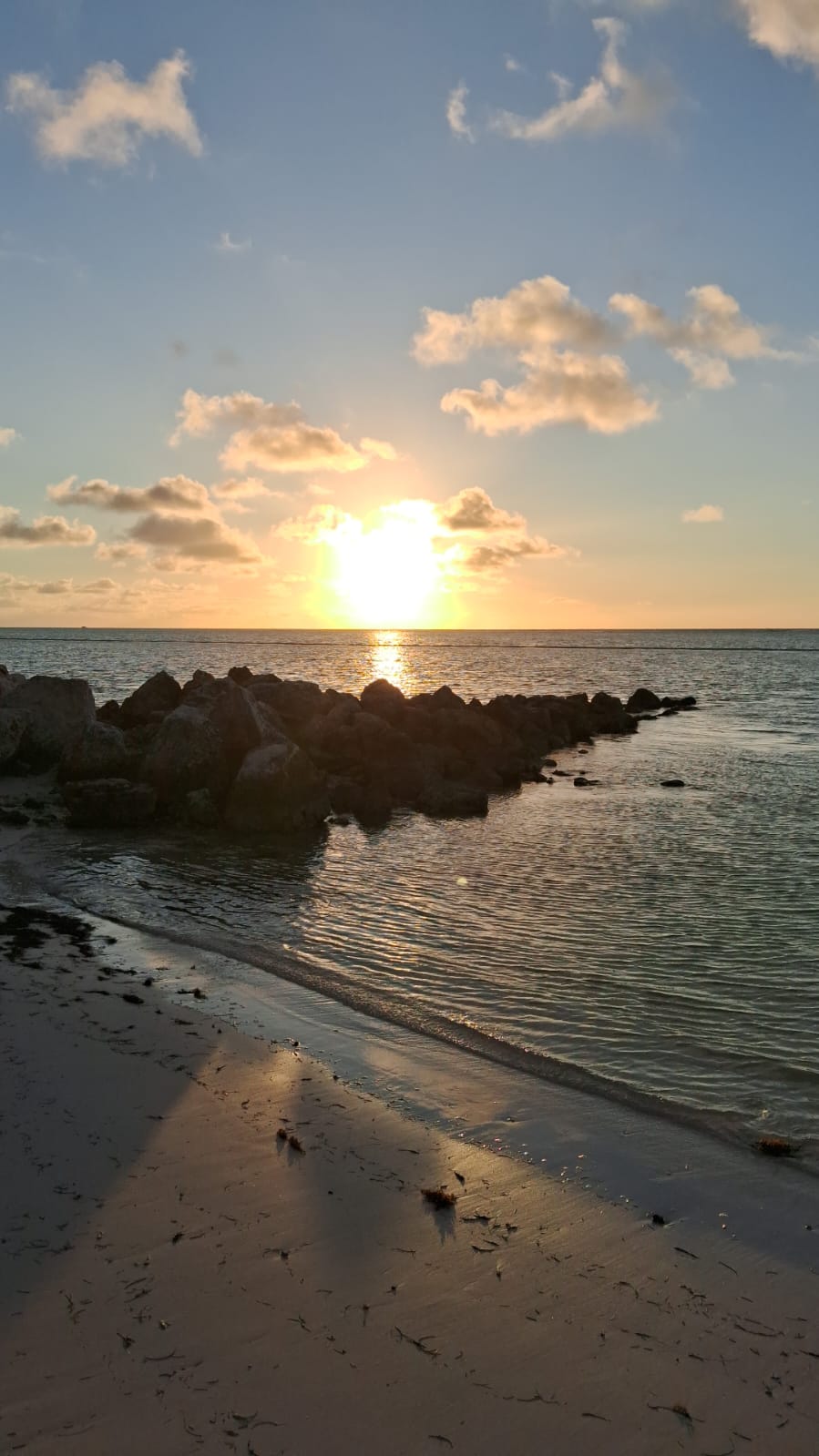 1ER LUGAR / ARQ. RICHARD MORETA CASTILLO.